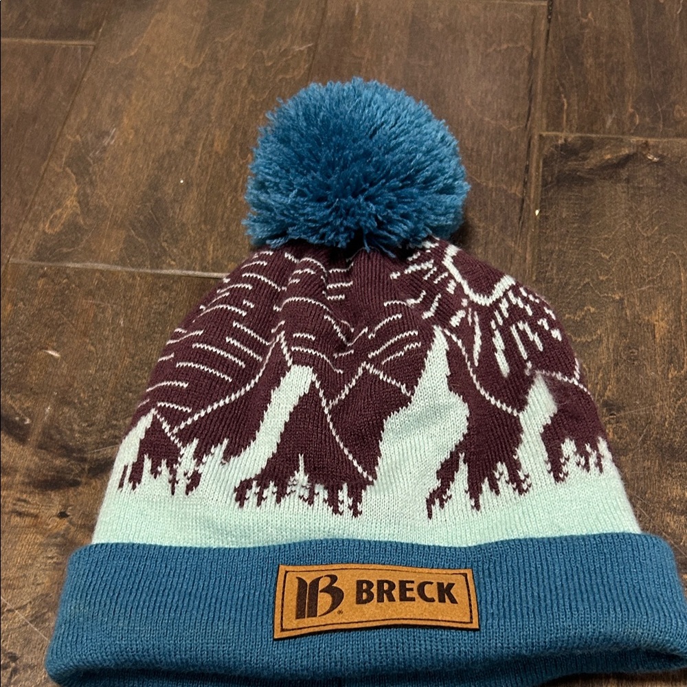 Breck Mountain Pattern Pom Beanie - Teal and Maroon